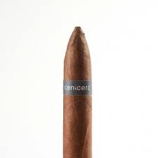 Look up words and phrases in comprehensive, reliable bilingual dictionaries and search through billions of online translations. Torpedo Zigarren Online Bei Noblego Kaufen