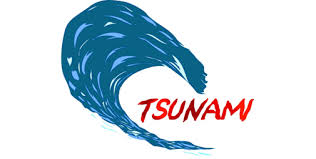 Image result for tsunami