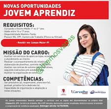 Jul 22, 2021 · a brf acredita na inserção de jovens no mercado de trabalho e, com a ajuda de redes de ensino profissionalizante isso se torna possível. Jovem Aprendiz Campo Maior Pi 01 Vaga S Themos Vagas Empregos E Estagiosthemos Vagas Empregos E Estagios