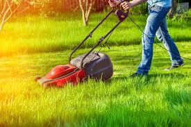 We are burning gas and paying employees while they are not generating any revenue for our company. I Had A Job Mowing Lawns Grass Jade Hs De