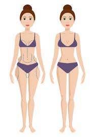 Body parts of woman name with picture. Vektor Von Plastic Surgery Body Parts Id 86812931 Lizenzfreie Bild Stocklib