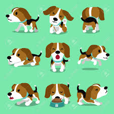 Cartoon Character Beagle Dog Poses Royalty Free Cliparts Vectors And Stock Illustration Image 89033368 See cartoon beagle stock video clips. cartoon character beagle dog poses