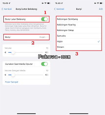 Cara Mengaktifkan Suara Hujan di iPhone | PUKEVA
