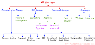 Mengenal Hr Manager Dan Bagaimana Peran Pentingnya Di Perusahaan