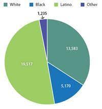 Texas Tech Ethnic Diversity Pie Chart University Of