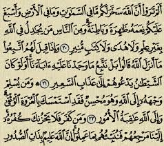 Slim was especially known to be a prominent hezbollah critic, but also critical of all other sectarian parties. Ù†Ù…Ù„Ø© Ø¨Ø¯Ø§Ù†Ø© ÙƒØ¨ÙŠØ± Ù‡Ø¯Ø§ÙŠØ§Øª Ø³ÙˆØ±Ø© Ù„Ù‚Ù…Ø§Ù† Comertinsaat Com