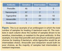 An Example Of An Antibiogram For Use In Antibiotic Stewardship Programming Antibiotic Penicillin Amoxicillin