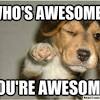 Whether it's for yourself or for sharing with someone that did a great job, these 23 great job memes are the gift that keeps on giving. Https Encrypted Tbn0 Gstatic Com Images Q Tbn And9gcquqbmbpg31rxbobeoj09qx7kxdq9wyx Kjua8p1ich3qzn1jwe Usqp Cau