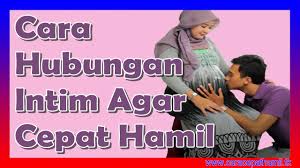 Image result for hubungan sex