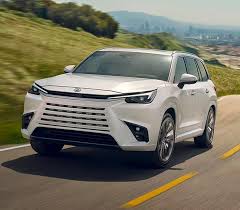 Image result for Wind Chill 2024 TX