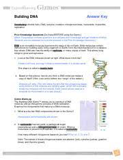 Students are introduced to the concept of radioactive decay using an explorelearning gizmo. Buildingdnase Key Building Dna Answer Key Vocabulary Double Helix Dna Enzyme Mutation Nitrogenous Base Nucleoside Nucleotide Replication Prior Course Hero