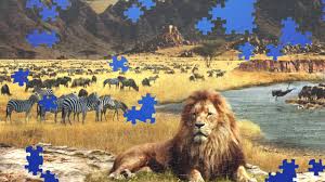 Lindblad has been leading tours in t. National Geographic Puzzle Packs In Magic Jigsaw Puzzles Youtube