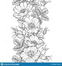 Understanding pattern repeats—the vertical distance, in inches, from one point on a design until it starts over again—and how they contribute to the mood of a room will help you make smart choices. Floral Seamless Border Line Art Drawing Wild Rose Flowers And Berries Design Template Rosehip Vector Illust Wild Rose Tattoo Rose Line Art Line Art Drawings