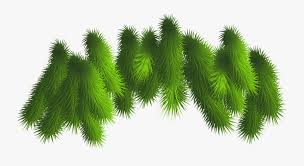 Polish your personal project or design with these christmas branch transparent png images, make it even more personalized and more attractive. Christmas Tree Branch Png Christmas Tree Branches Png Free Transparent Clipart Clipartkey