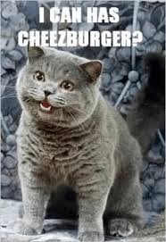 Image result for i can has cheezburger