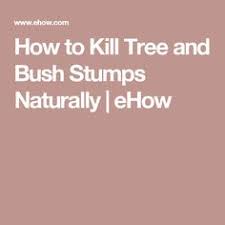 You may have enlisted professional help to remove a tree from your property, but you may be able to take care of the stump removal process yourself. 12 Bush Removal Ideas Stump Removal How To Remove Tree Stump