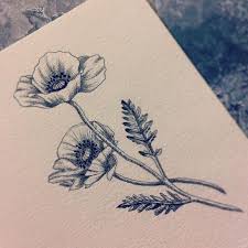 B6a060bb167fc3f84ec109331489aeac Jpg 736 736 Pixels Poppies Tattoo Black Poppy Tattoo Poppy Flower Tattoo