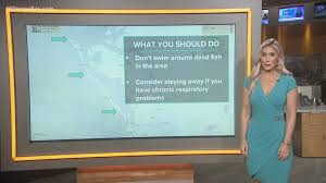 Our opinionated expert has sized up the resort at longboat key club and has a lot to say about it. Red Tide Advisory Issued For Longboat Key And Anna Maria Island Wtsp Com