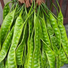 Spiderman into the spider verse paint art 4k. Keren Spider Man Ini Setiap Hari Jualan Petai Di Pasar