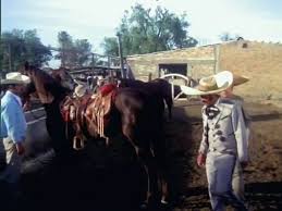 Now grown up, the man is out in the hunt for his father's killer taking. Vicente Fernandez El Arracadas Pt1 Video Dailymotion