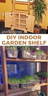 The value that a greenhouse offers is endless. Year Round Salad Gardening How To Build An Indoor Plant Shelf Garden Therapy