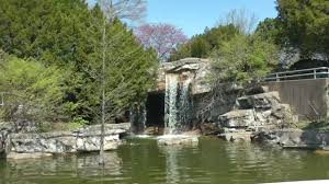 Maybe you would like to learn more about one of these? 3 Waterfalls At The St Louis Zoo Youtube