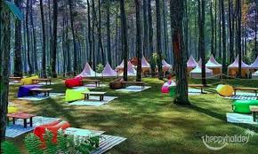 Penginapan Orchid Forest Cikole Lembang Tiket Masuk Happy Holiday