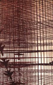 Bildergebnis für NATARAJ SHARMA