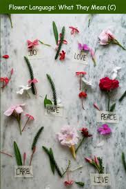 Flowers are popular designs that are often incorporated into tattoos of this japanese devil mask. The Language Of Flowers What They Mean C Pioneer Thinking