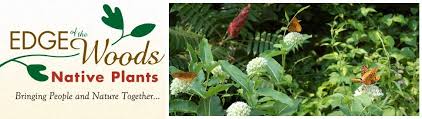 Home Edge Of The Woods Native Plant Nursery Plant Nursery Native Plants Garden Nursery