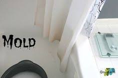 How To Clean A Moldy Shower Curtain Without Bleach Clean Shower Curtain Liner Clean Shower Curtains Wash Shower Curtain