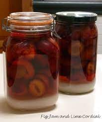 Posts About Homemade Plum Liqueur On Fig Jam And Lime Cordial Fig Jam And Lime Cordial Plums Brandy Plum Recipes
