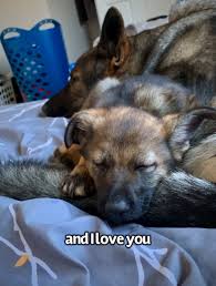 SO WHOLESOME 😭 The story of Jade &...