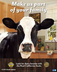 One Of My New Cmab Happy Cows Ads For Deutsch Definitely One Of The Funnier Jobs Of The Year Milk Advertising Dairy Happy Cow Sweet Cow Dairy Brands