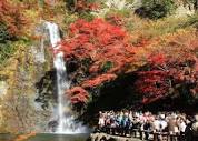 Osaka's Minoh Park: Enjoy A Refreshing Getaway With Waterfalls ...