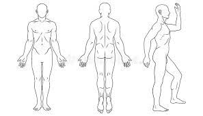 Human body front back images. Body Stock Illustrations 785 855 Body Stock Illustrations Vectors Clipart Dreamstime