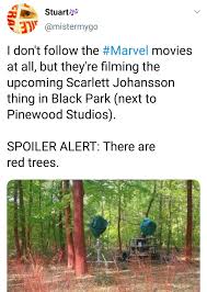 Endgame, but it seems possible that she might perish in the battle against thanos. The Black Widow Film Has Reportedly Begun Filming In England Black Widow Film Black Widow Movie Black Widow