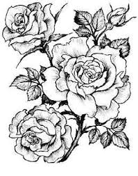 أطفالنا والربيع ورسومات للتلوين ورود فراشات طيور flower drawing flower coloring pages embroidery flowers pattern