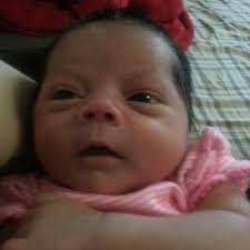 Cheyenne Carlson's Instagram, Twitter & Facebook