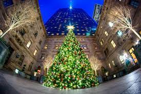 The prettiest christmas trees around the world (photos) 12/23/2010 03:01pm est | updated may 25, 2011 our favorite part about the holiday season (among many other things) is those gorgeous christmas trees that suddenly appear in town squares, museums and shopping malls, decked out like queens, a tourist attraction in their own right. Top 10 Best Christmas Trees Places To See In Your Lifetime