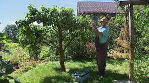 Komsa hat eine neue unternehmenssprecherin: Rbb Gartenzeit Noch Nicht Einsortiert Episodenguide Fernsehserien De