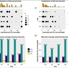 Image result for Elatostema paivaeanum