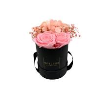 We did not find results for: Noblesse Flowerbox