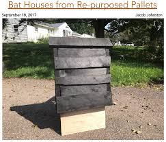 Pest control 304 stainless steel defender durable anti bird spikes for pest control. 8 Diy Bat Houses Ideas Bat Houses Bat Bat House