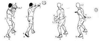 Vivenciar as técnicas do passe e do arremesso no basquetebol existem vários tipos de passe: Basquetebol Notapositiva