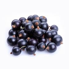 Blackcurrant is an incredibly rich source of phytonutrients and antioxidants that are having potential currants are native to central and northern europe and siberia. Fresh Frozen Washington Black Currants