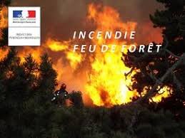 Argeles sur mer pyrénées orientales forestier evasion aventure loisirs voyages cartes de baseball voyage. Communique De Presse N 1 17h30 Incendie Dans La Zone D Argeles Sur Mer Dans Les Pyrenees Orientales Juillet Annee 2019 Communique De Presse Actualites Accueil Les Services De