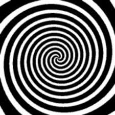Image result for spiral tribe