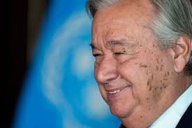 Texas bakery behind viral 'MAGA' cookie now offers Biden-themed option