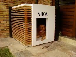 Dog House Panosundaki Pin